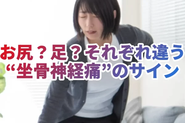 坐骨神経痛はどこが痛む？鍼灸師が見抜く“本当の原因”と部位ごとの特徴を徹底解説