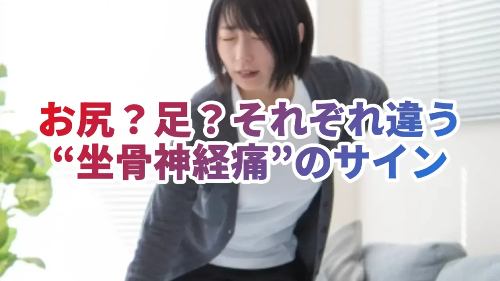 坐骨神経痛はどこが痛む？鍼灸師が見抜く“本当の原因”と部位ごとの特徴を徹底解説